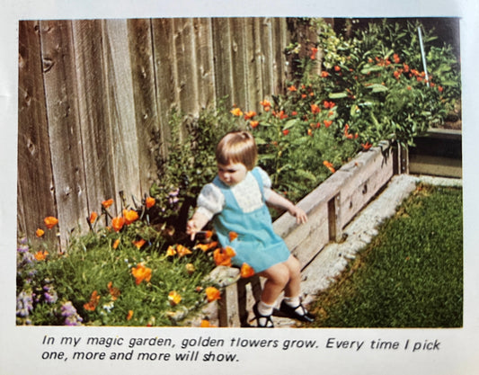 A Lifetime of Seeds