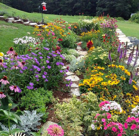 Garden Planning for Beginners: How to Get Started