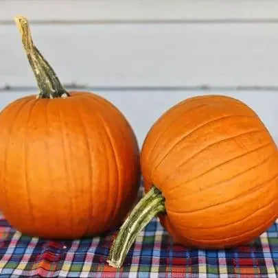 How to Grow Small Sugar Pumpkins – Sweet, Compact, and Perfect for Pies