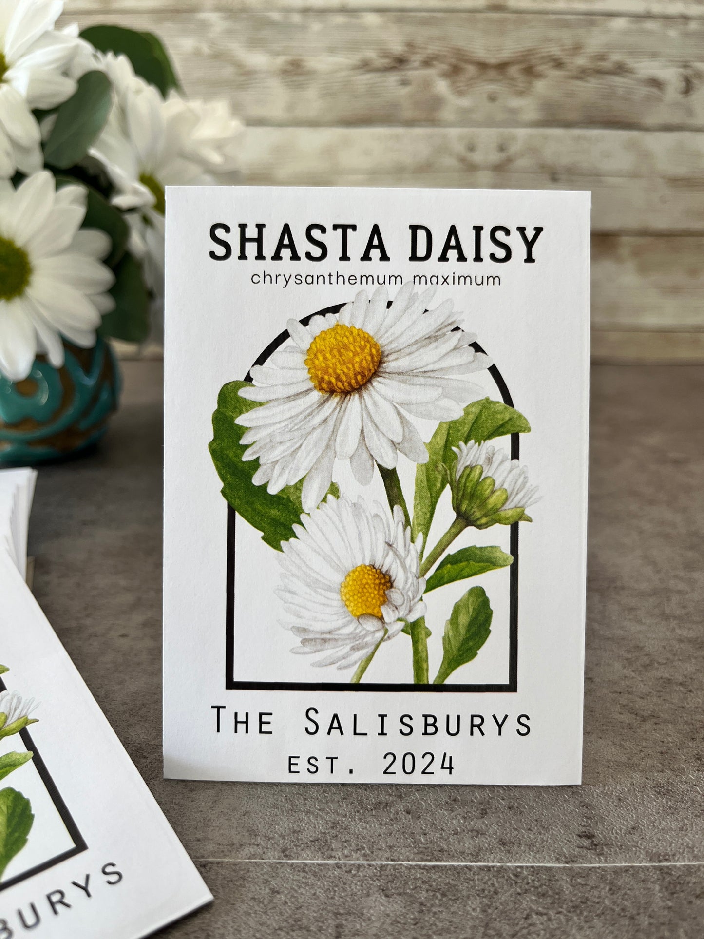 Shasta Daisy Vintage Seed Catalog