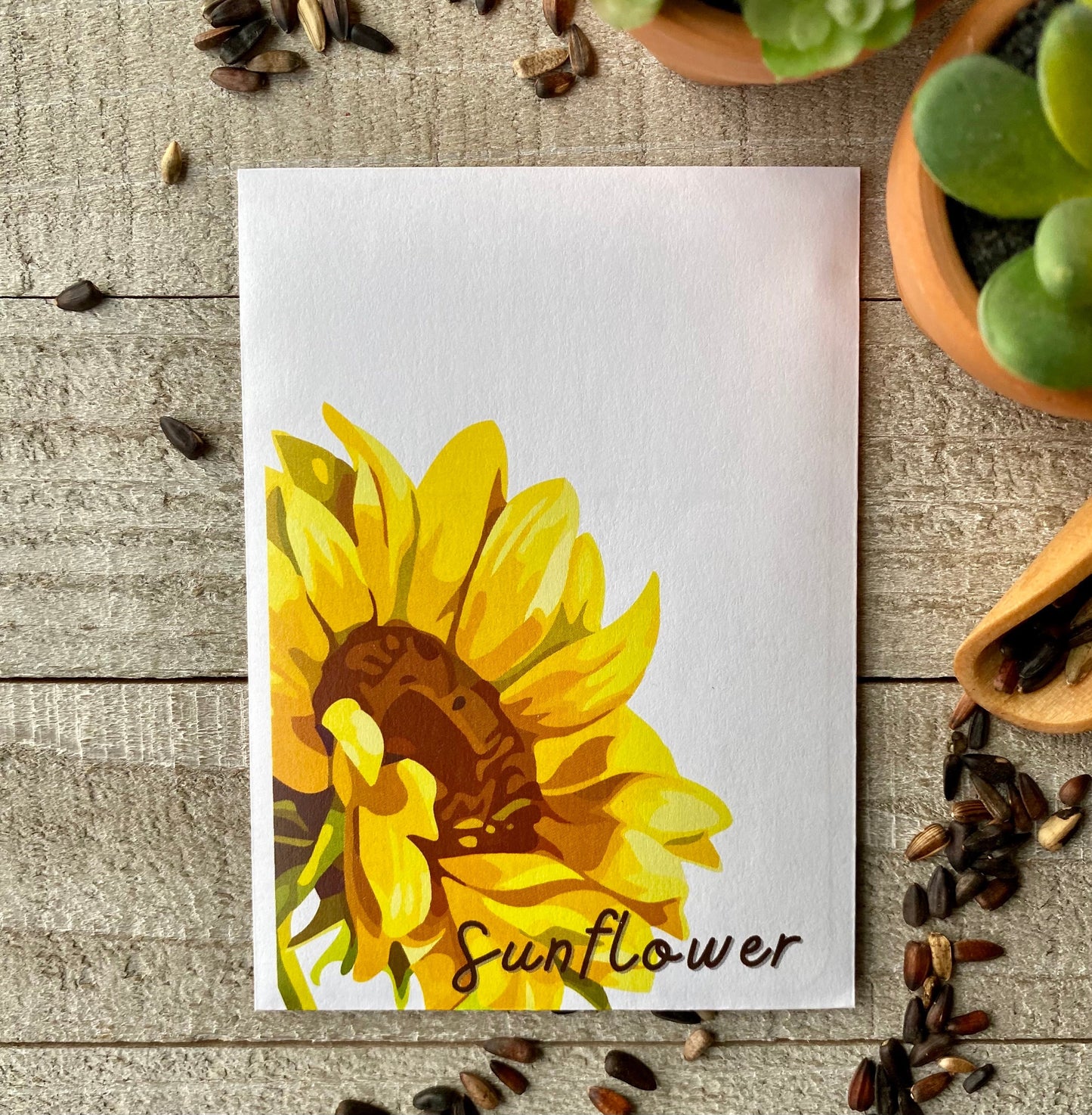 Sunflower Bold