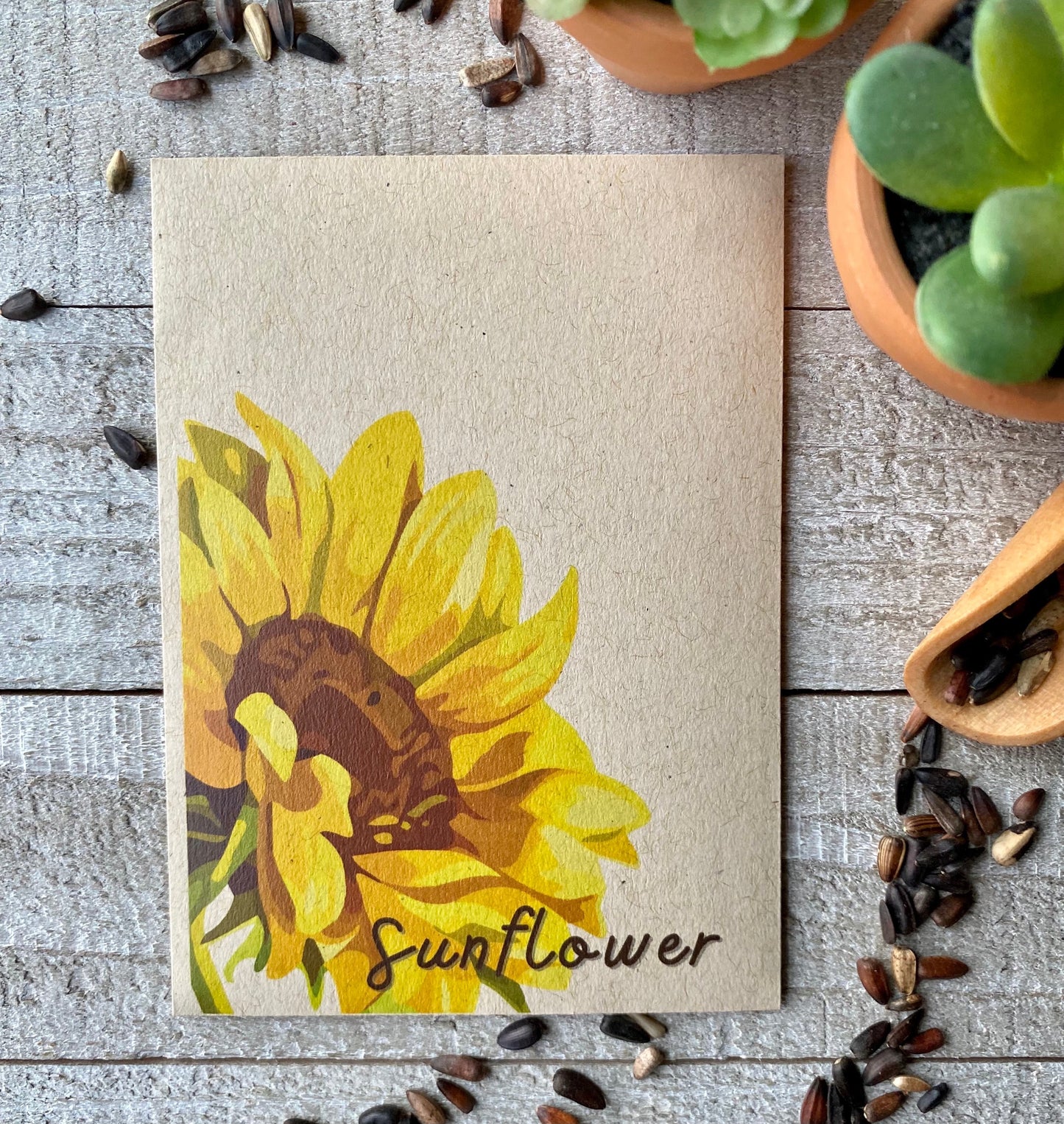 Sunflower Bold