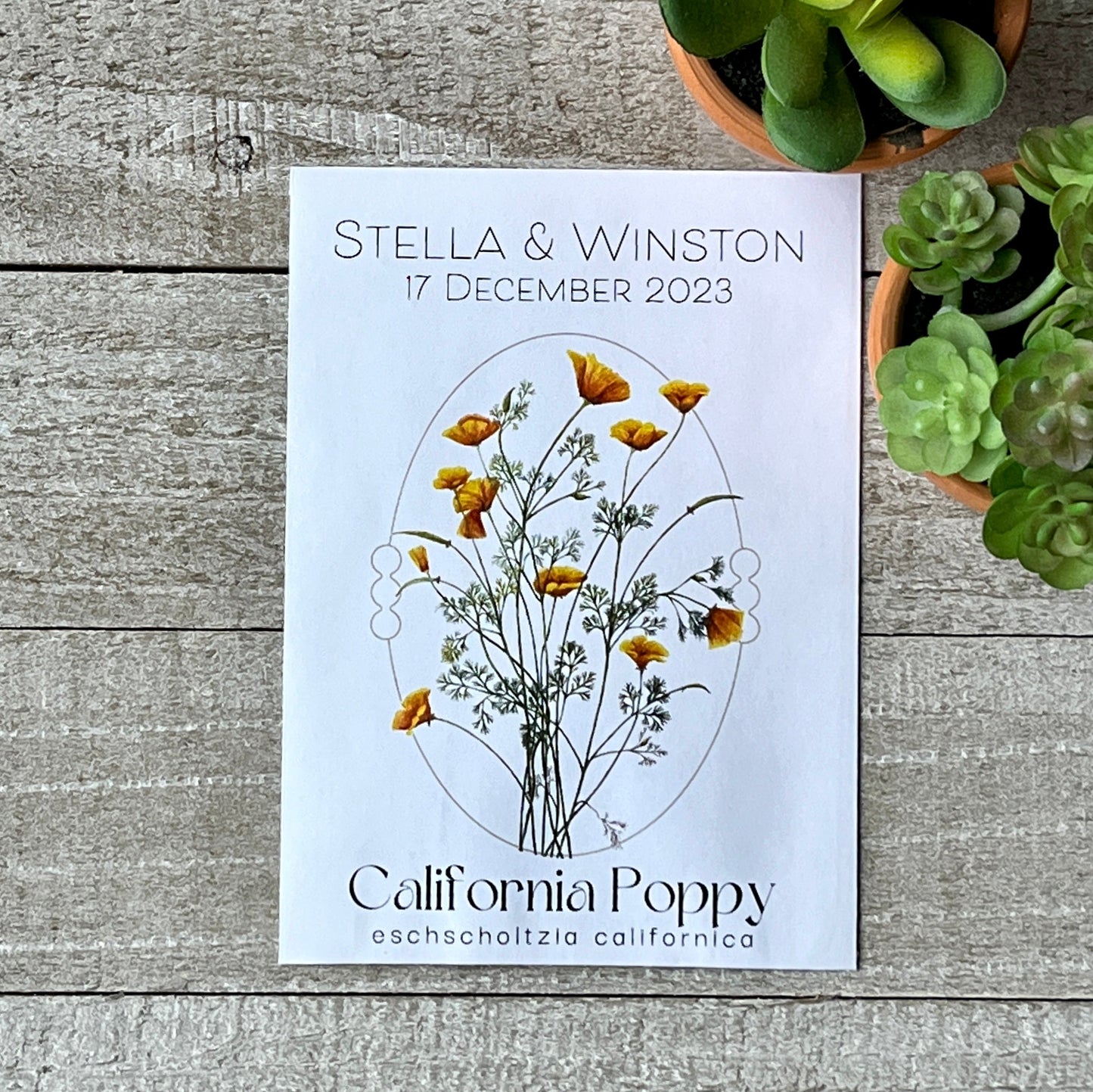 Romantic California Poppy Seed Packet