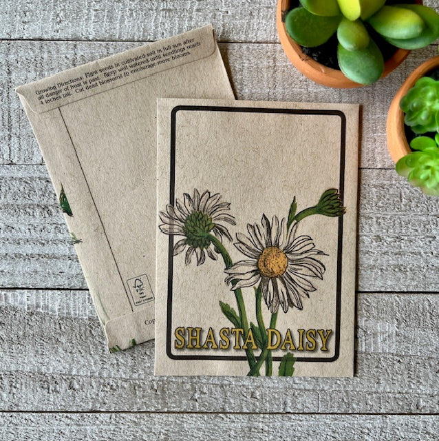 Shasta Daisy Farm Stand